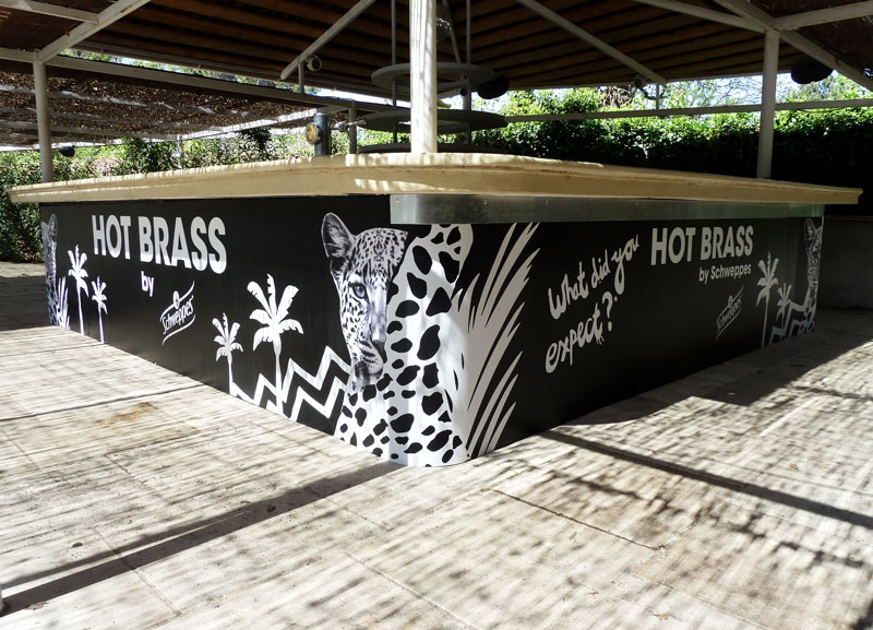 Pose de caisson lumineux et backlight Nice Alpes Maritimes (06)