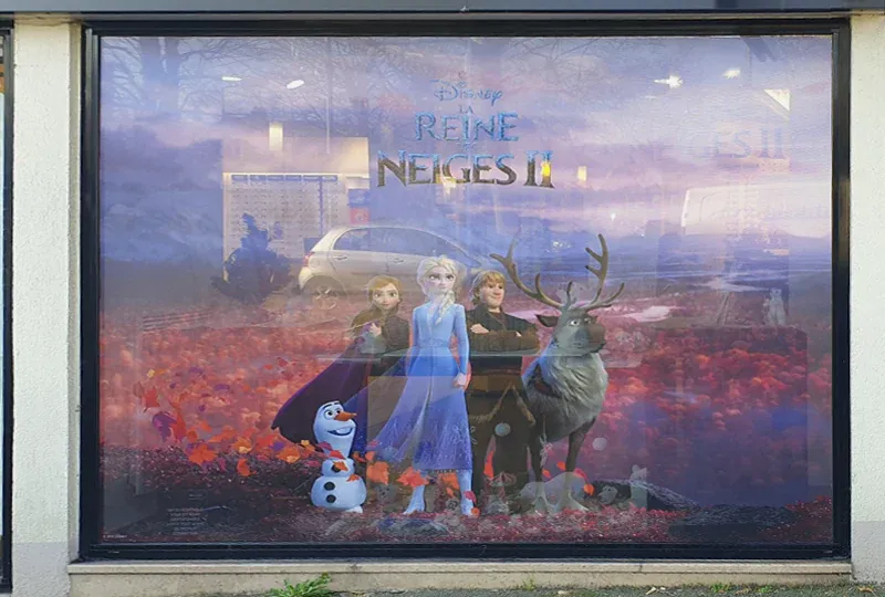 Covering Reine des Neiges<br>en vinyle microperforé sur vitrine<br>pour un magasin optique.<br>#LumièreNaturelle #Visibilité 