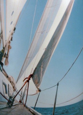 Nos prestations sur le secteur de Lille (59) Haut de France
