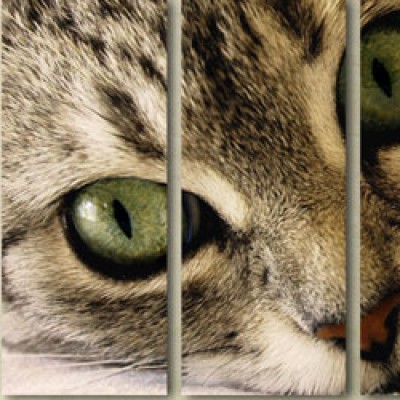 Nos prestations sur le secteur de Paris Ile de France (75)